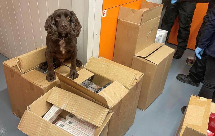 Dogs and inspectors find smuggled cigarettes in Croydon stings – South London News