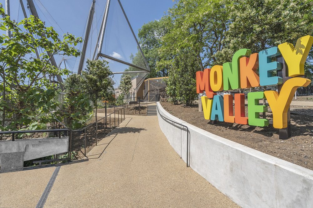 London Zoo’s famous Snowdon Aviary transformed to allow public to walk with monkeys for the very first time