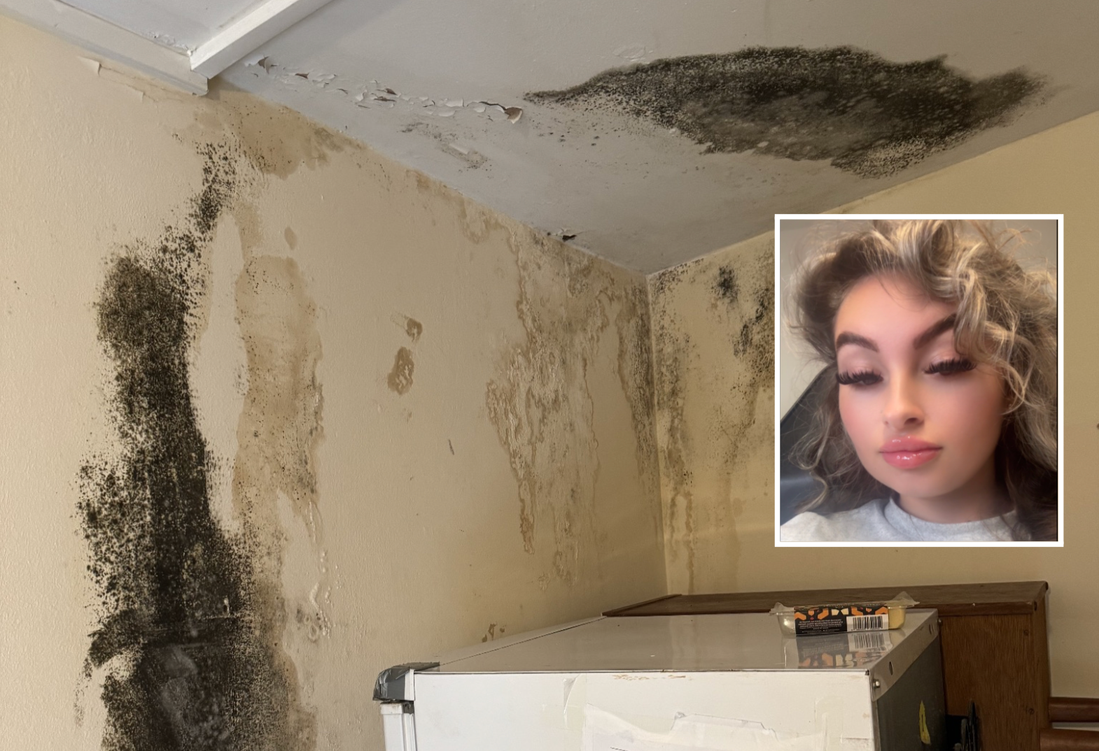 Single mum left in mould-ridden flat with broken front door for months by council